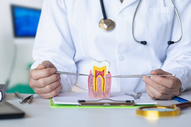 Best Root Canal Emergency Dentist  in Moodus, CT
